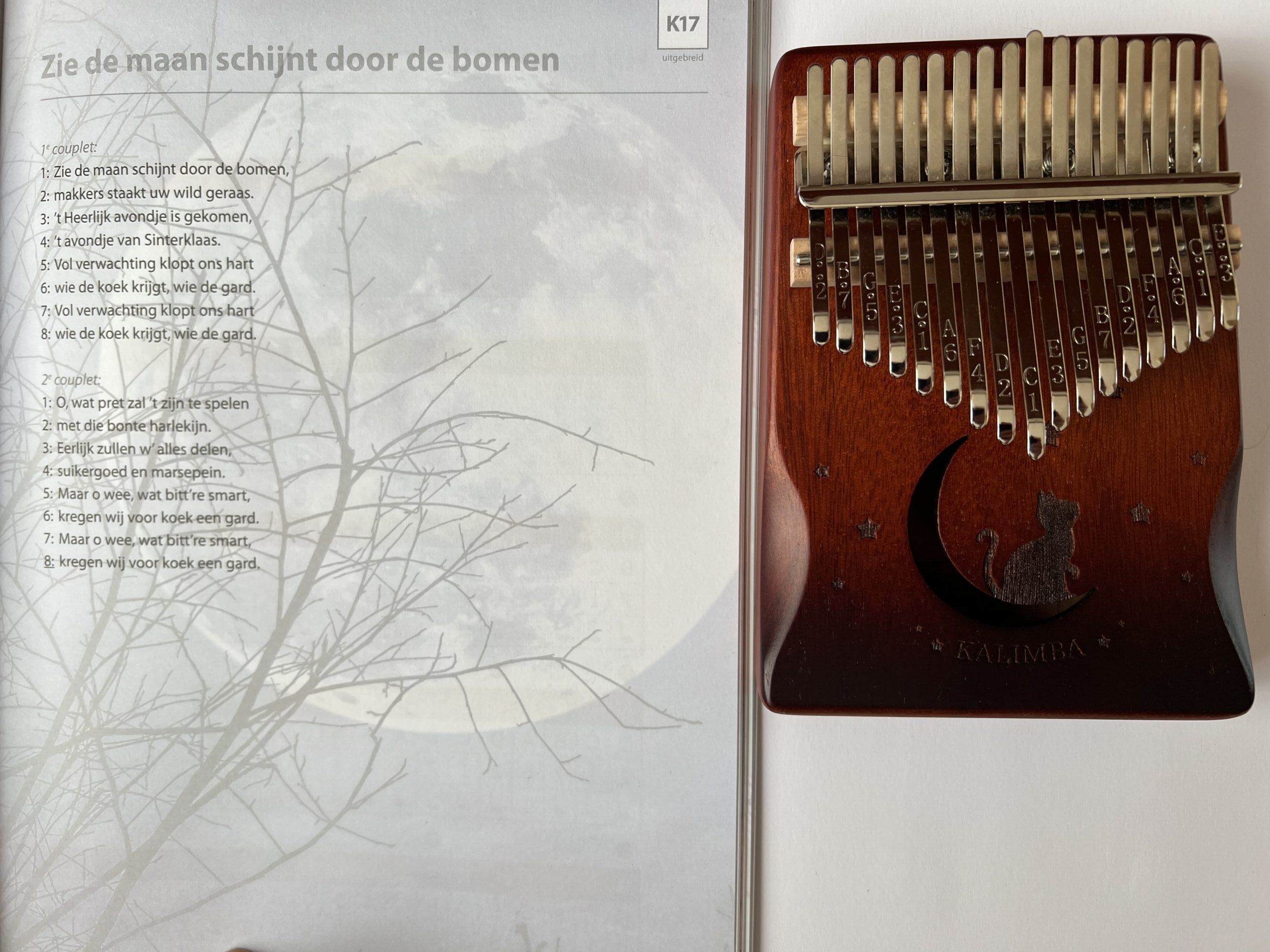 Zie de maan schijnt door de bomen - Afbeelding 2